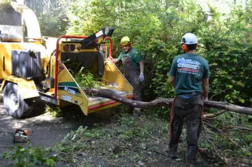 tree services Deer Park